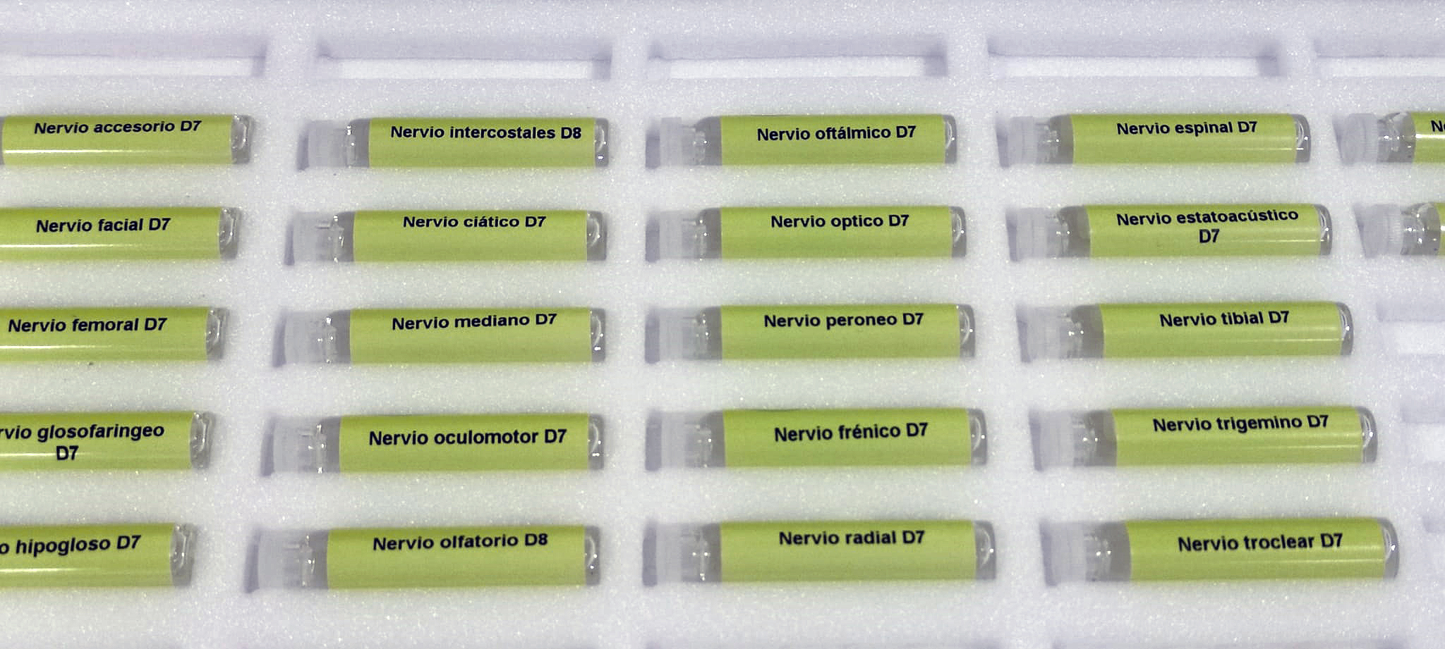 Test d&acute;allergies alimentaires